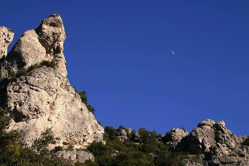 Les Orgues 1